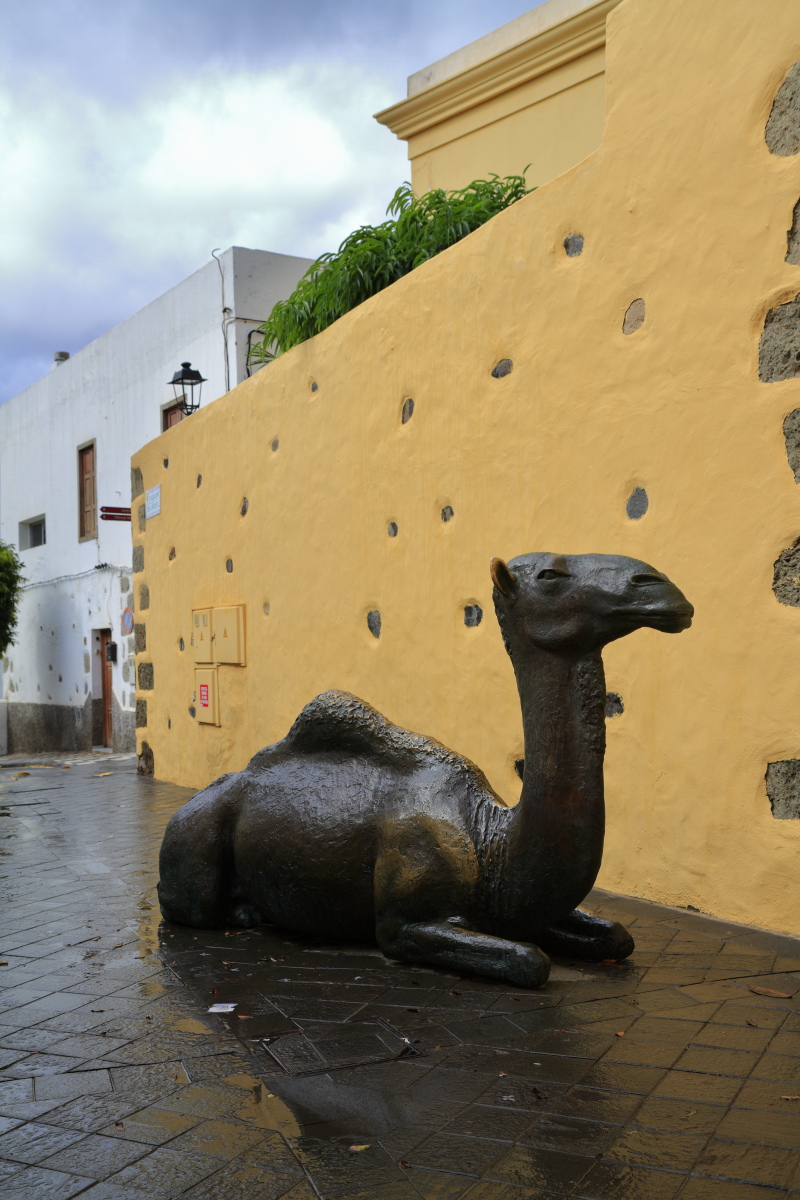 10.27 Gran Canaria  MG 1410